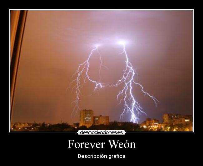 Forever Weón - 