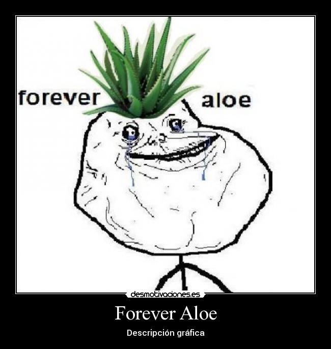 Forever Aloe - Descripción gráfica