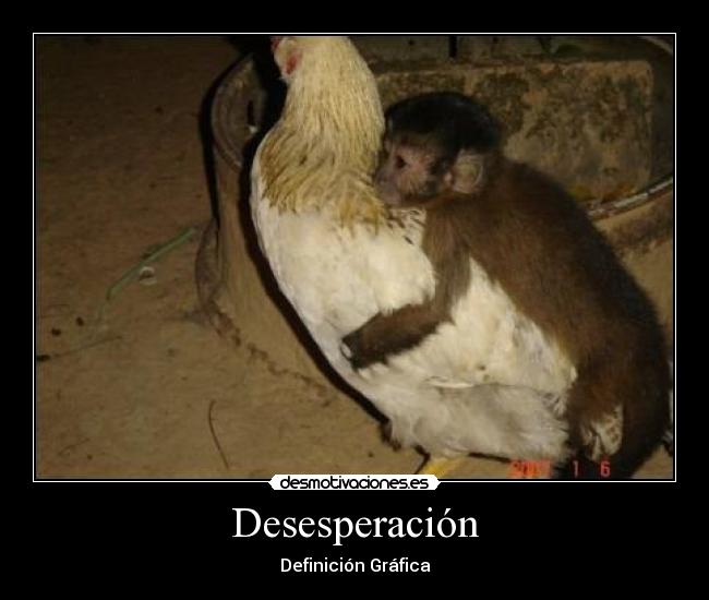 Desesperación - 