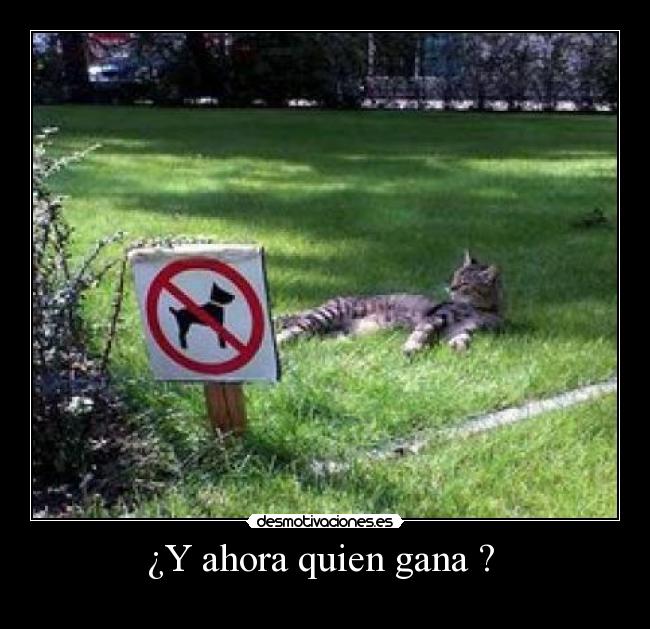 ¿Y ahora quien gana ?  - 