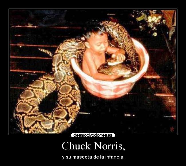 Chuck Norris, - y su mascota de la infancia.