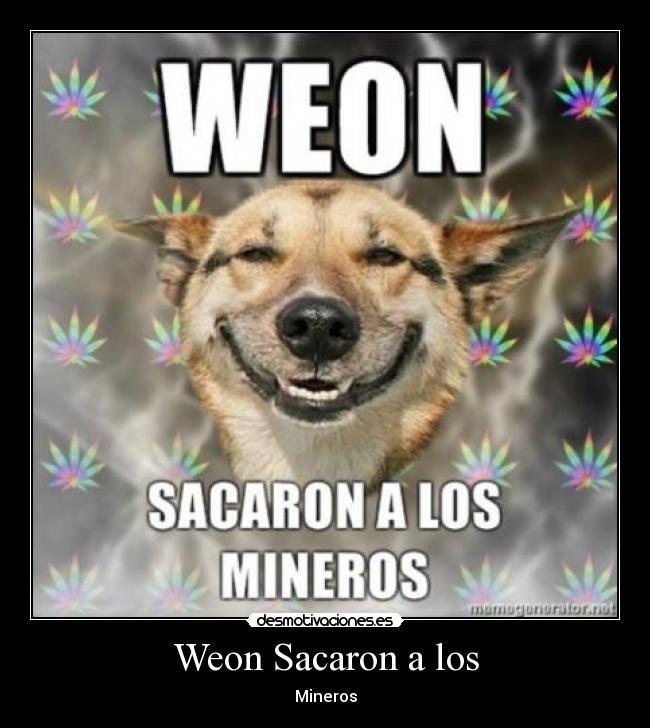 Weon Sacaron a los - Mineros