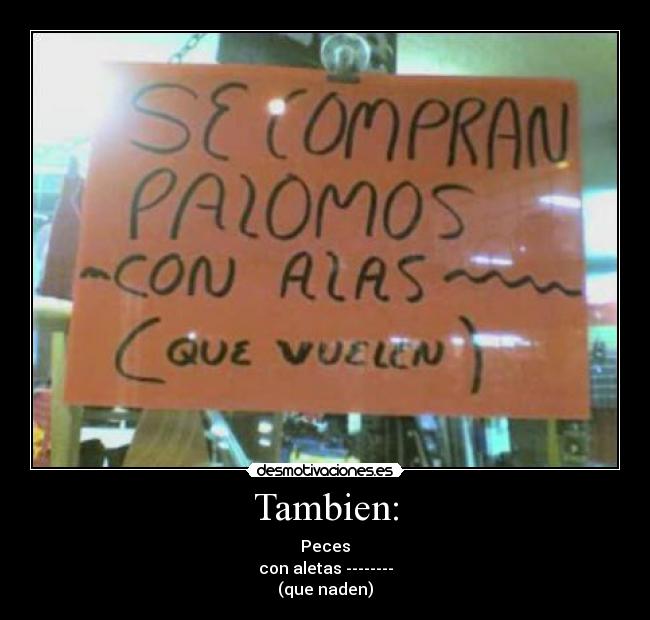 Tambien: -