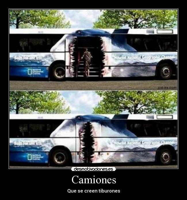 Camiones - Que se creen tiburones