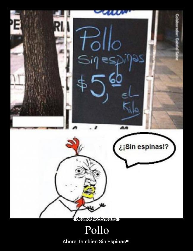Pollo -