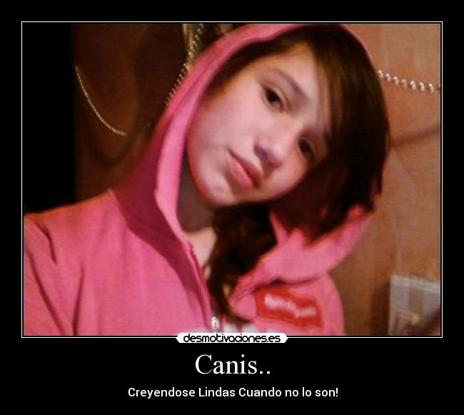 Canis.. - 