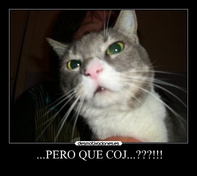 ...PERO QUE COJ...???!!! -