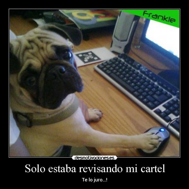 Solo estaba revisando mi cartel - Te lo juro...!