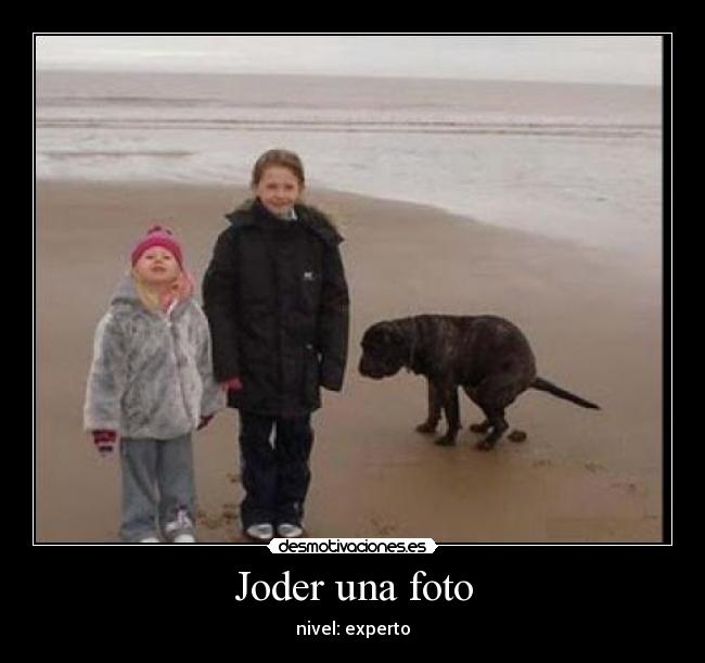 carteles nivel experto desmotivaciones