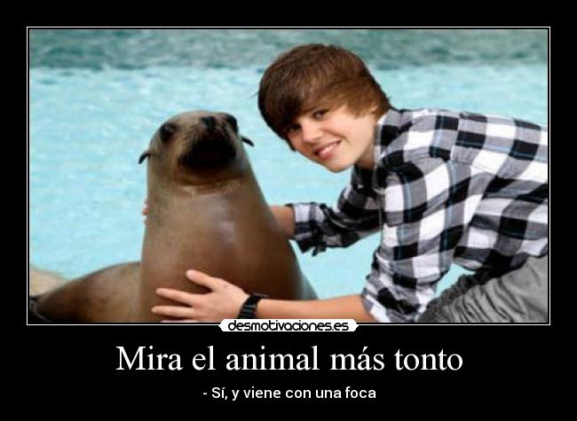 Mira el animal más tonto -