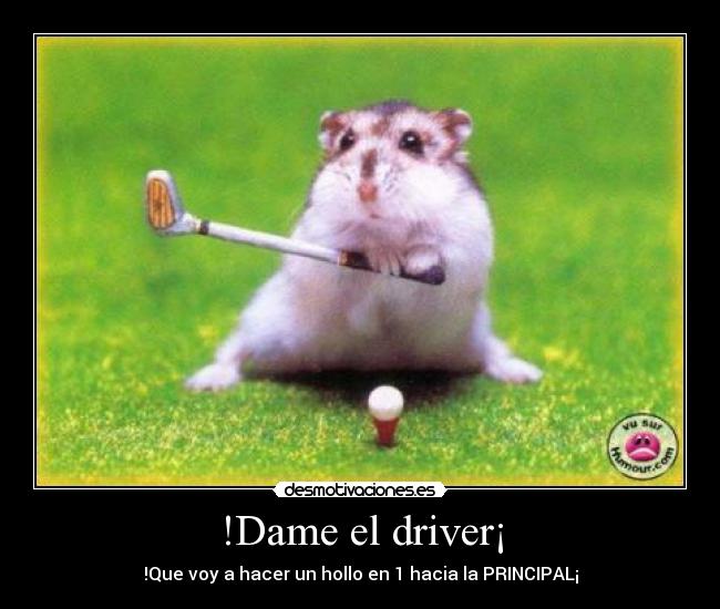 carteles golf principal hamster desmotivaciones