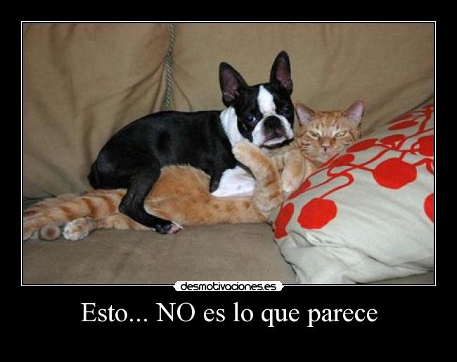 Esto... NO es lo que parece - 