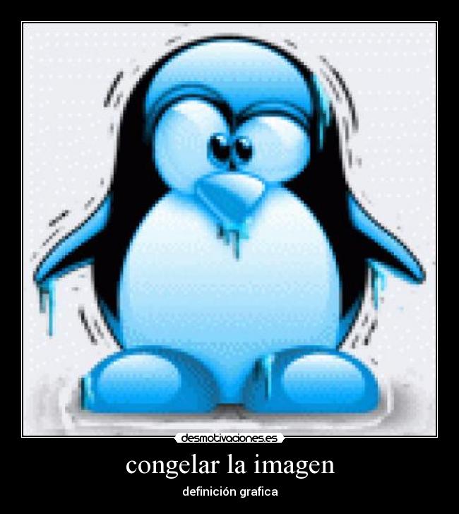 congelar la imagen -