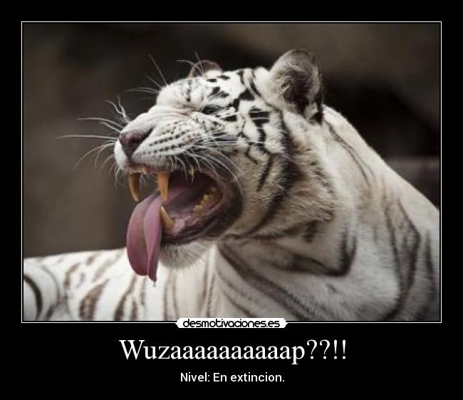 Wuzaaaaaaaaaap??!! -