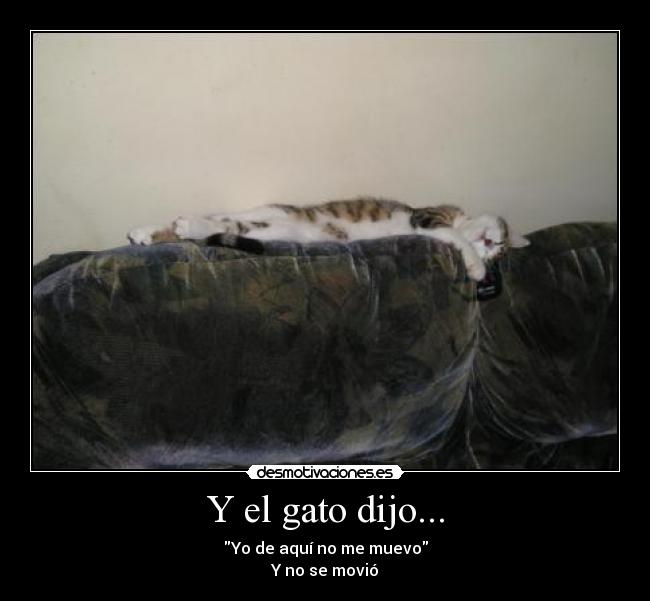 Y el gato dijo... - 