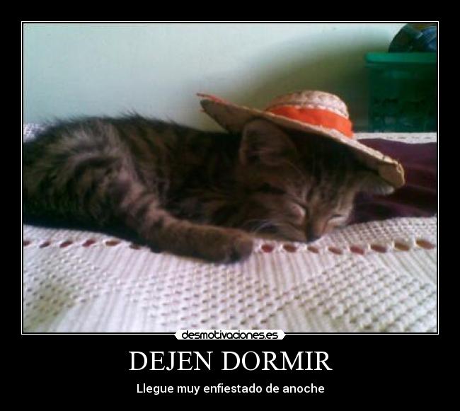 DEJEN DORMIR - 