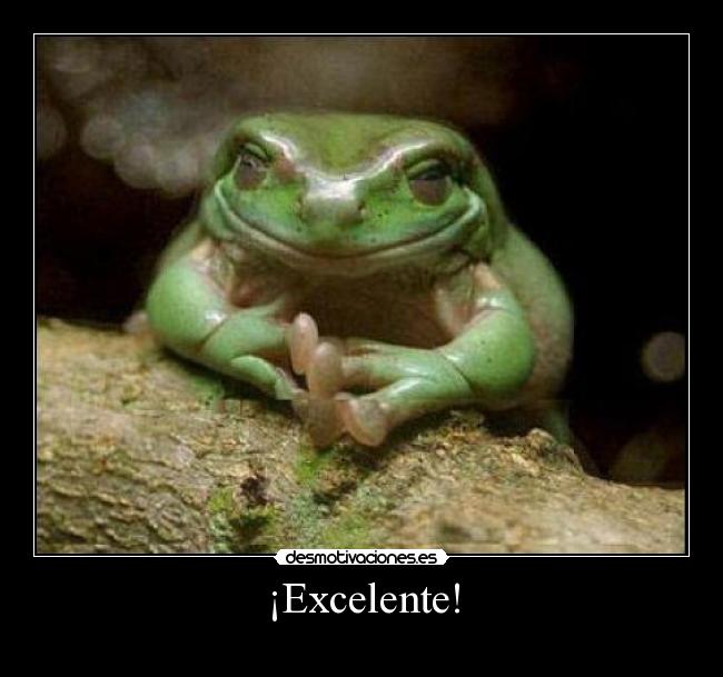 ¡Excelente! -