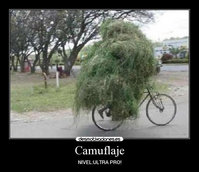 Camuflaje -