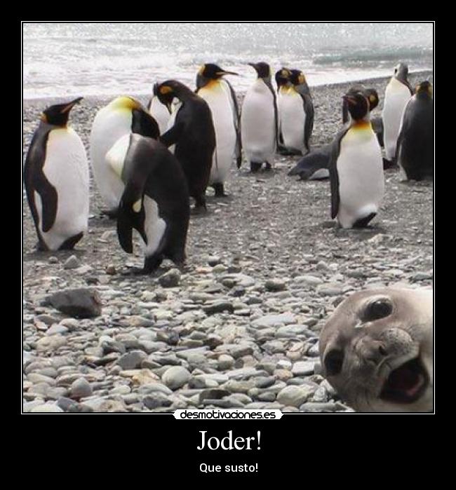 Joder! - Que susto!