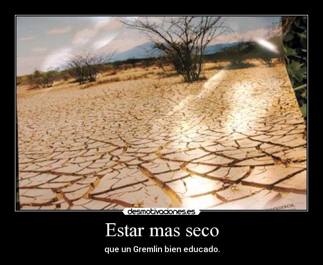 Estar mas seco - que un Gremlin bien educado.