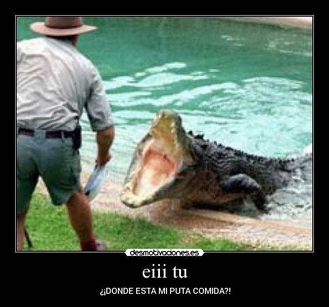 eiii tu - ¿¡DONDE ESTA MI PUTA COMIDA?!