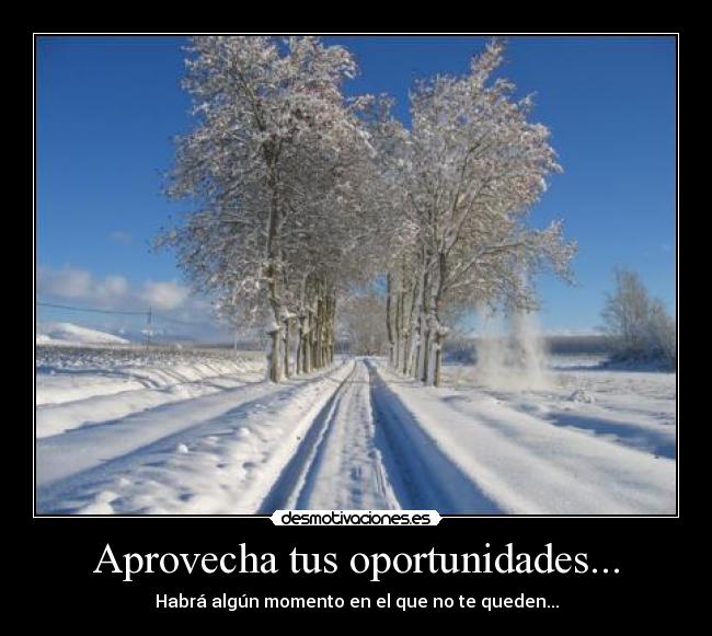 Aprovecha tus oportunidades... - Habrá algún momento en el que no te queden...