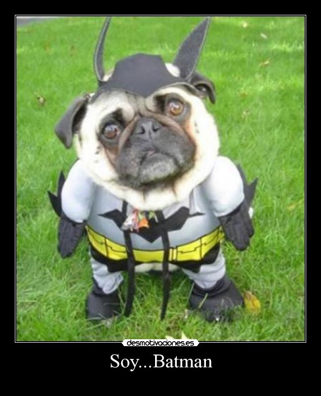 Soy...Batman -