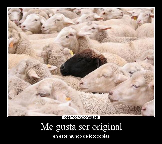 carteles original mundo fotocopias desmotivaciones