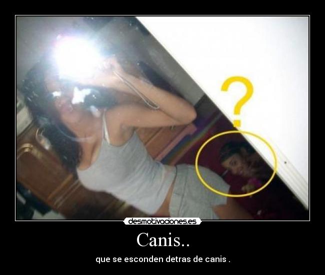 Canis.. - 