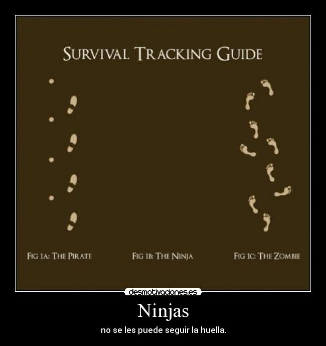 Ninjas -