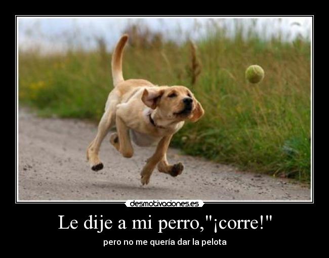 Le dije a mi perro,¡corre! -