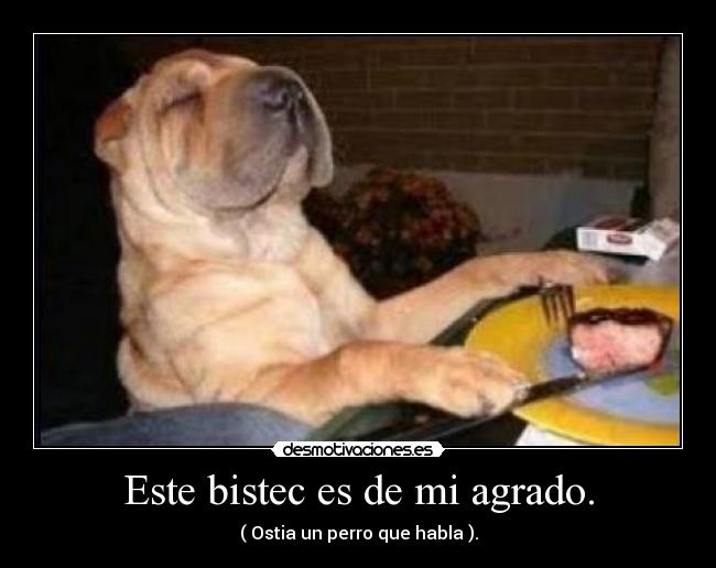 Este bistec es de mi agrado. - ( Ostia un perro que habla ).