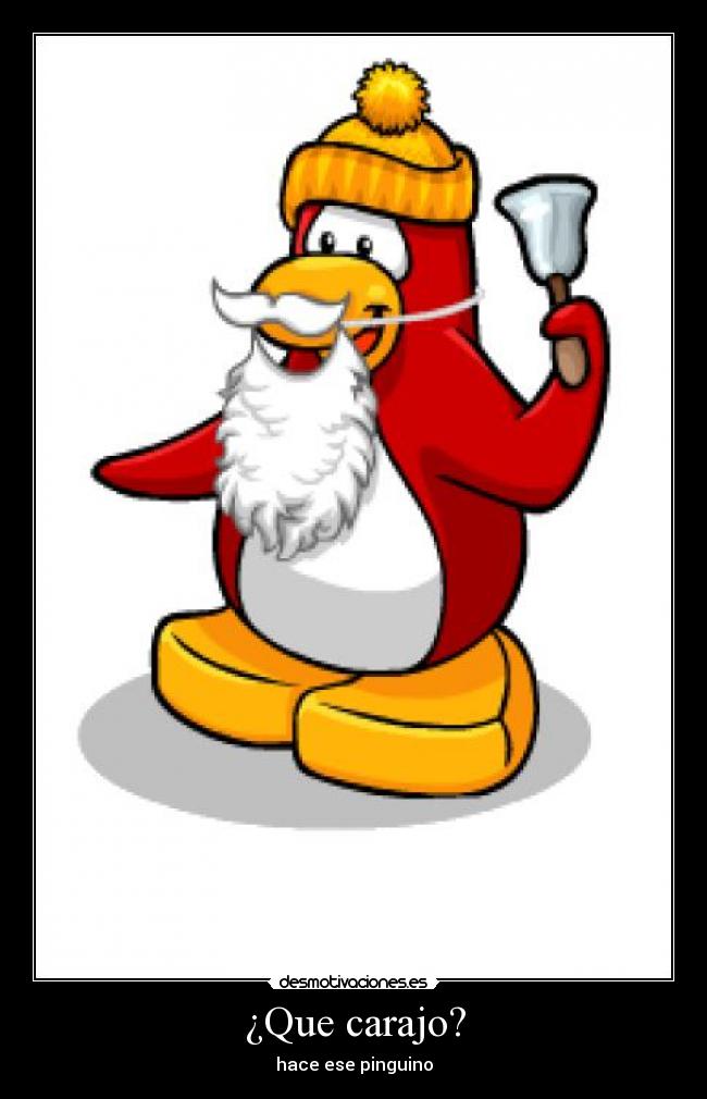 ¿Que carajo? - hace ese pinguino