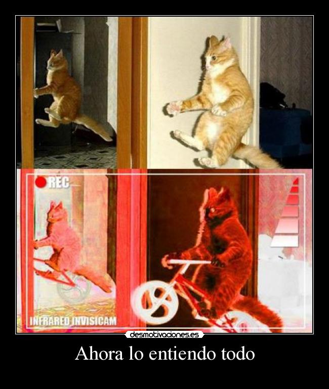 Ahora lo entiendo todo - 