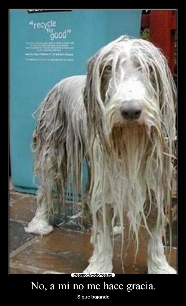 No, a mi no me hace gracia. - Sigue bajando