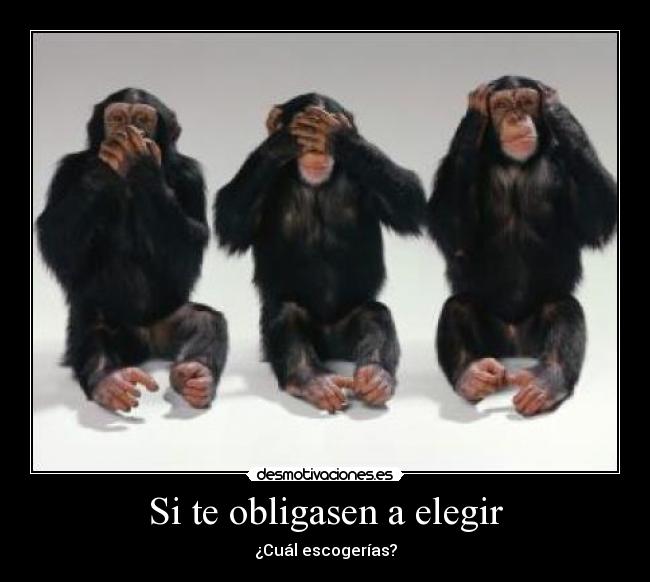 Si te obligasen a elegir - 