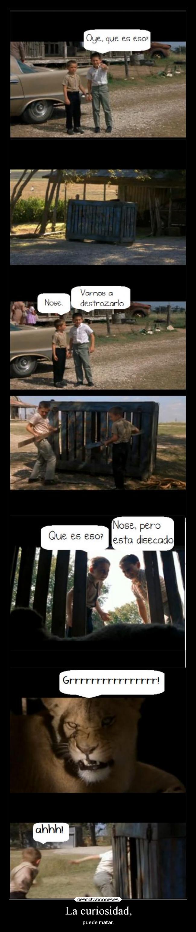 La curiosidad, - puede matar.