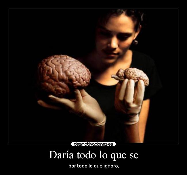 Daría todo lo que se - por todo lo que ignoro.