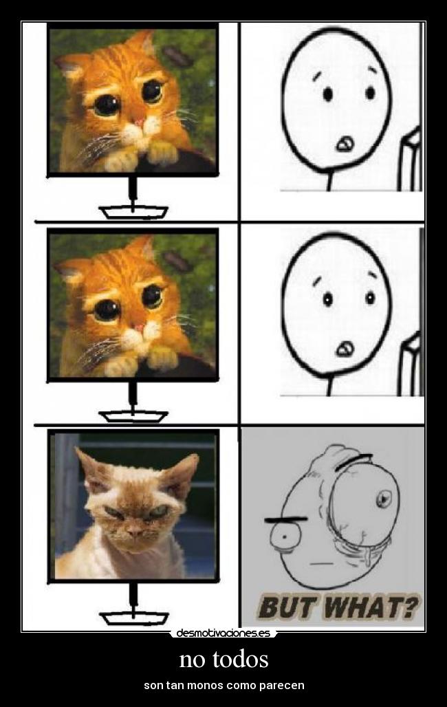 no todos - son tan monos como parecen