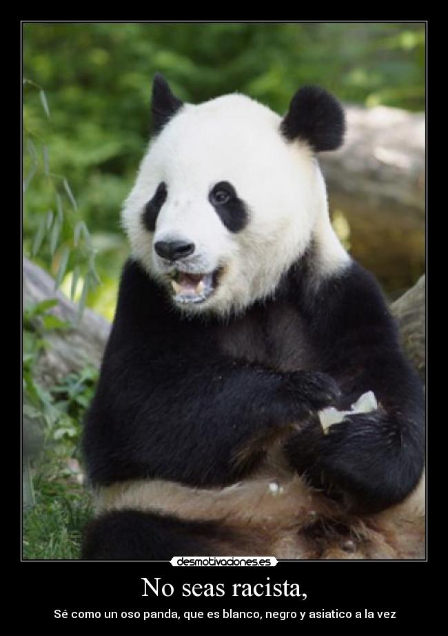 No seas racista, -