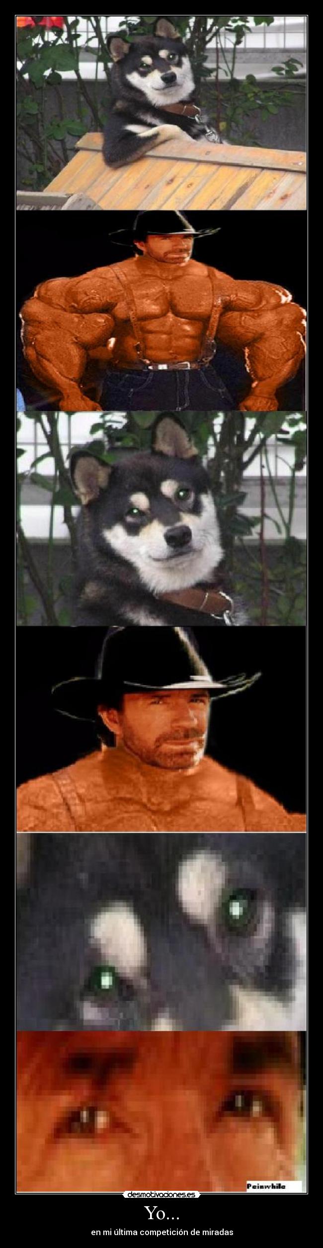 Yo... - en mi última competición de miradas