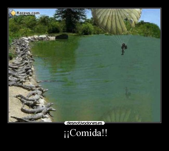 carteles comida paracaidista cocodrilos desmotivaciones