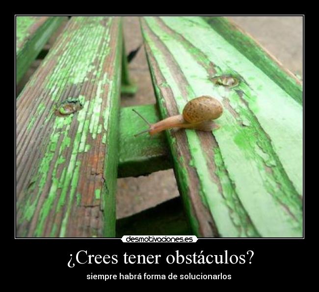 ¿Crees tener obstáculos? -