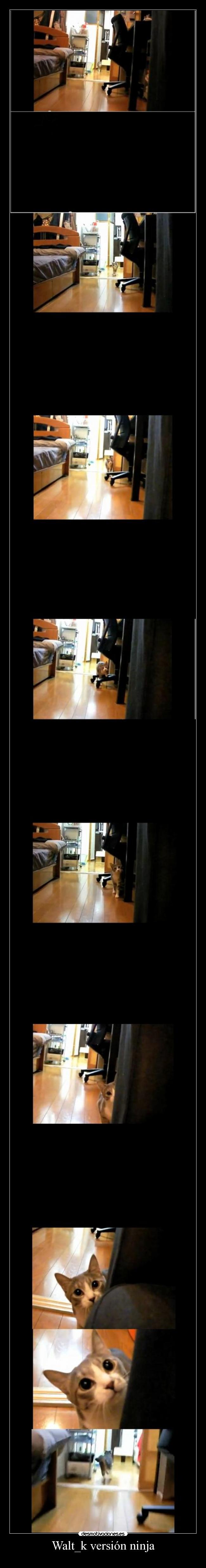 carteles ninja desmotivaciones