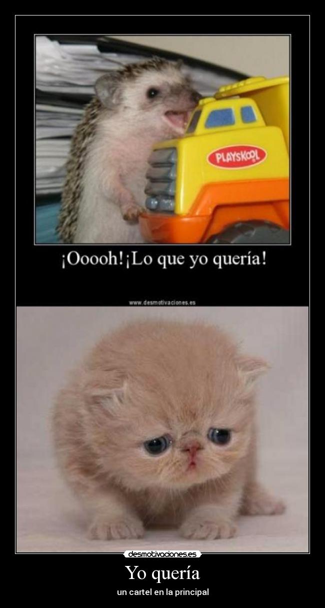 Yo quería - 