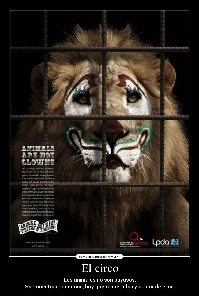 El circo - 