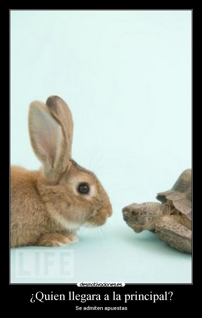 ¿Quien llegara a la principal? -