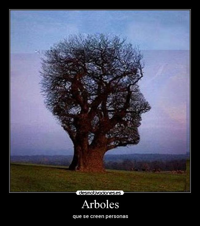 Arboles - 