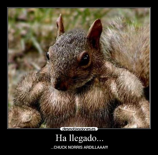 carteles desmotivaciones