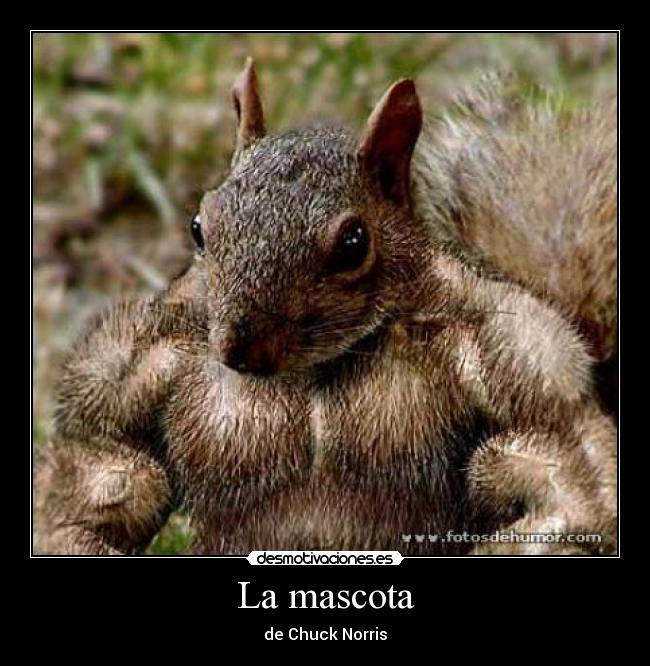 La mascota -